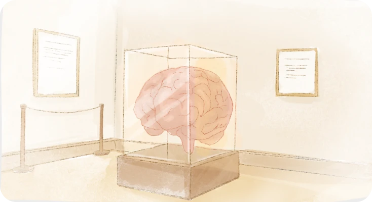 A metaphorical picture of IQ score meaning